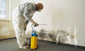 Best Emergency Mold Remediation  in Morgan Hill, CA